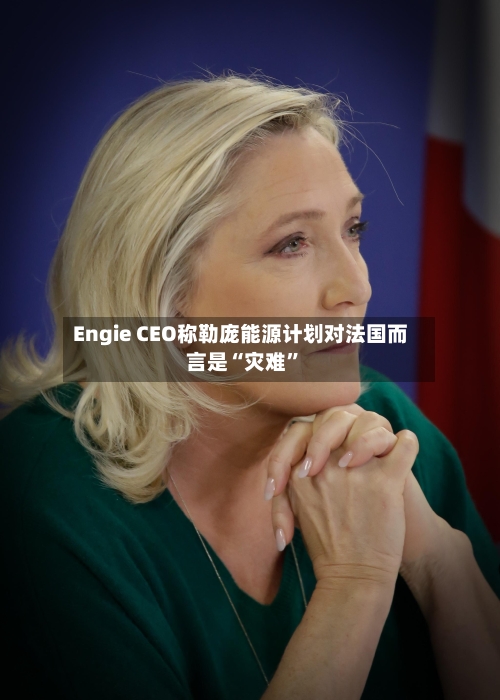 Engie CEO称勒庞能源计划对法国而言是“灾难	”-第3张图片