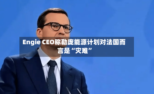 Engie CEO称勒庞能源计划对法国而言是“灾难	”-第2张图片