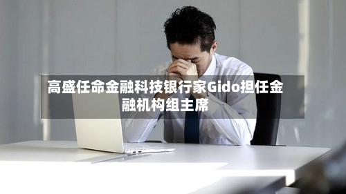 高盛任命金融科技银行家Gido担任金融机构组主席