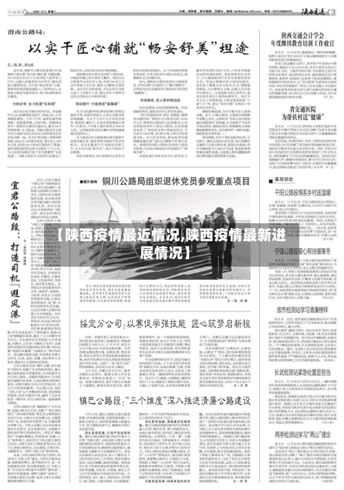 【陕西疫情最近情况,陕西疫情最新进展情况】-第2张图片