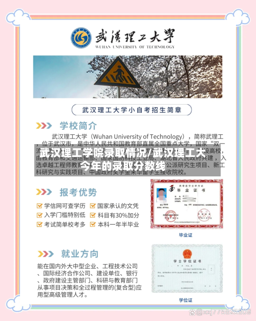 武汉理工学院录取情况/武汉理工大今年的录取分数线