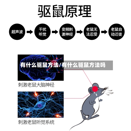 有什么驱鼠方法/有什么驱鼠方法吗-第2张图片