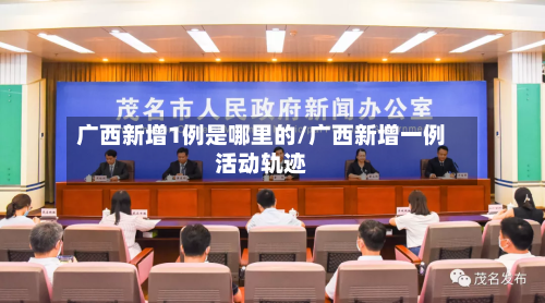 广西新增1例是哪里的/广西新增一例活动轨迹-第2张图片