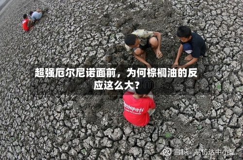 超强厄尔尼诺面前	，为何棕榈油的反应这么大？-第2张图片