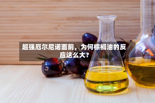 超强厄尔尼诺面前	，为何棕榈油的反应这么大？-第3张图片