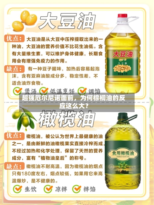 超强厄尔尼诺面前，为何棕榈油的反应这么大？