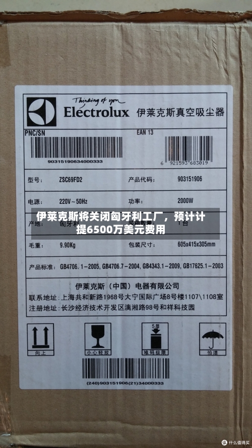 伊莱克斯将关闭匈牙利工厂，预计计提6500万美元费用-第3张图片