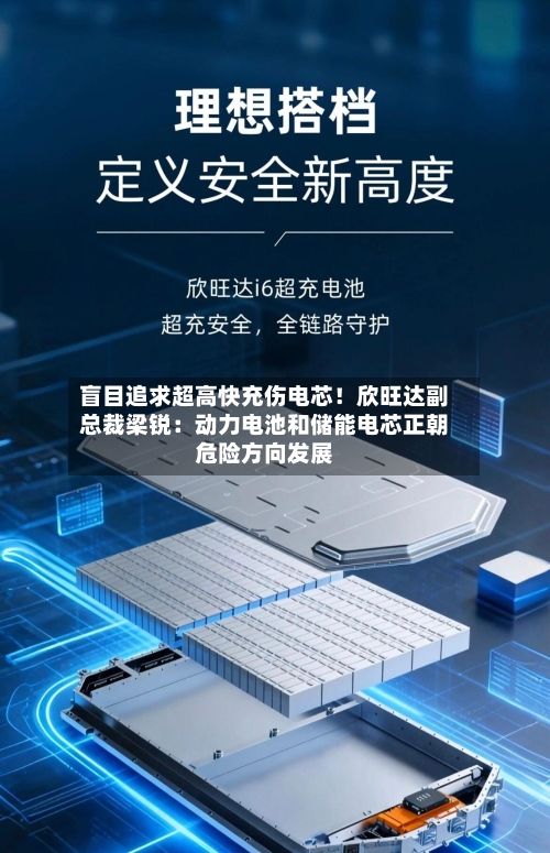 盲目追求超高快充伤电芯！欣旺达副总裁梁锐：动力电池和储能电芯正朝危险方向发展-第3张图片