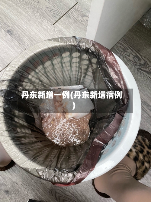 丹东新增一例(丹东新增病例)