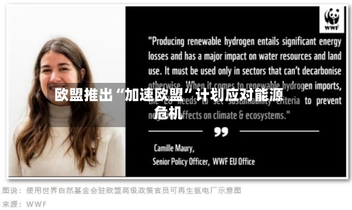 欧盟推出“加速欧盟”计划应对能源危机-第3张图片