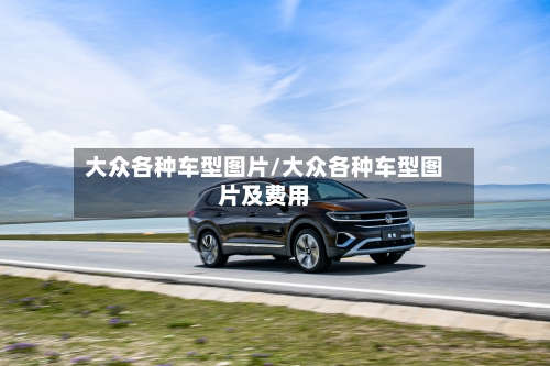 大众各种车型图片/大众各种车型图片及费用