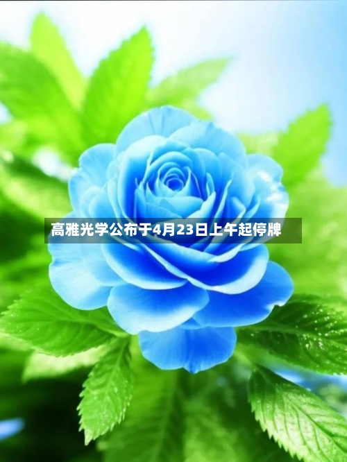 高雅光学公布于4月23日上午起停牌-第2张图片