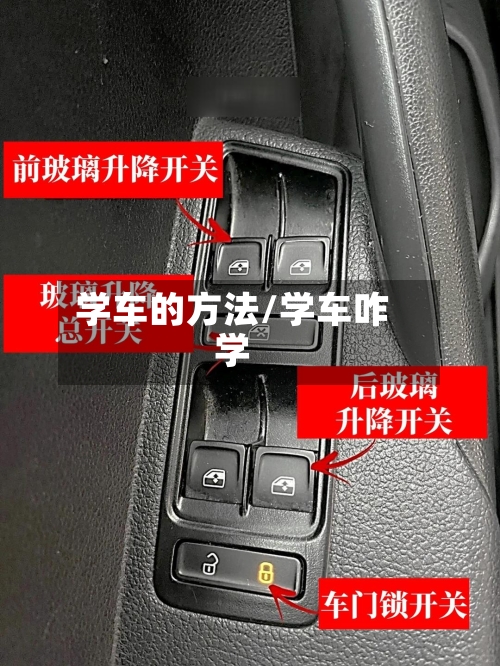 学车的方法/学车咋学
