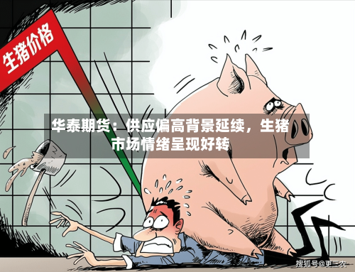 华泰期货：供应偏高背景延续，生猪市场情绪呈现好转-第2张图片