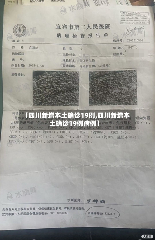 【四川新增本土确诊19例,四川新增本土确诊19例病例】