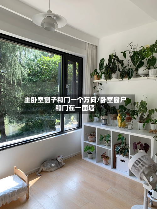 主卧室窗子和门一个方向/卧室窗户和门在一面墙