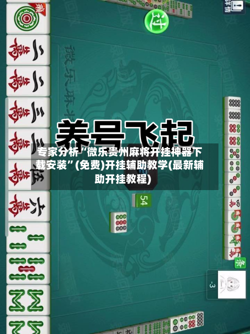 专家分析“微乐贵州麻将开挂神器下载安装”(免费)开挂辅助教学(最新辅助开挂教程)-第2张图片