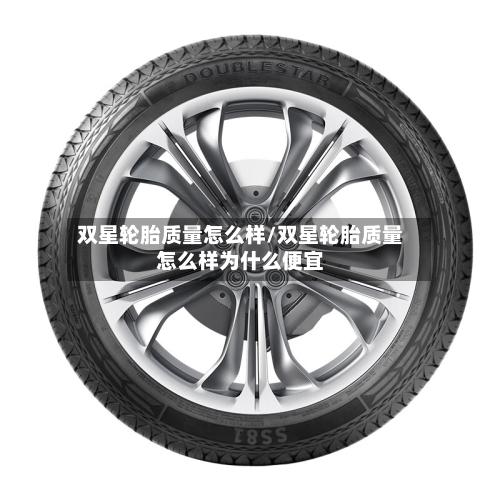 双星轮胎质量怎么样/双星轮胎质量怎么样为什么便宜-第2张图片