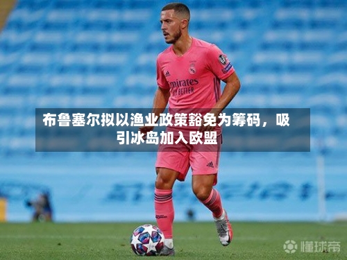 布鲁塞尔拟以渔业政策豁免为筹码，吸引冰岛加入欧盟-第2张图片