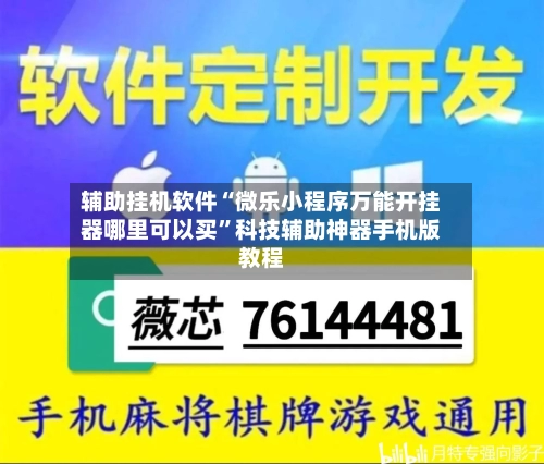 辅助挂机软件“微乐小程序万能开挂器哪里可以买”科技辅助神器手机版教程-第2张图片