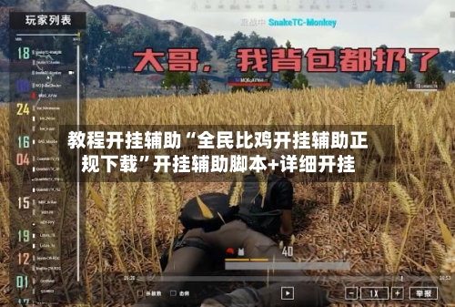 教程开挂辅助“全民比鸡开挂辅助正规下载”开挂辅助脚本+详细开挂-第2张图片