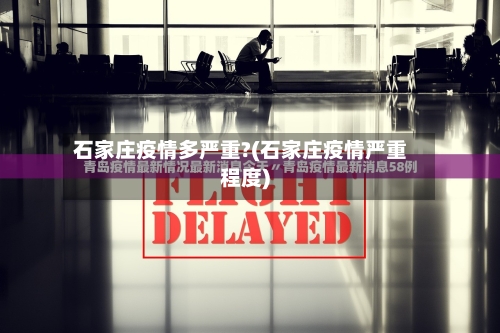 石家庄疫情多严重?(石家庄疫情严重程度)-第2张图片