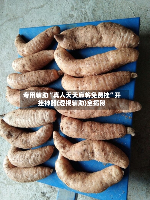 专用辅助“真人天天麻将免费挂”开挂神器{透视辅助}全揭秘-第2张图片