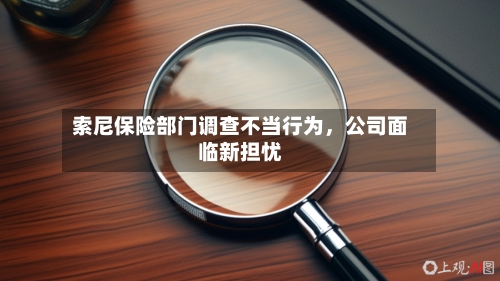 索尼保险部门调查不当行为	，公司面临新担忧-第2张图片