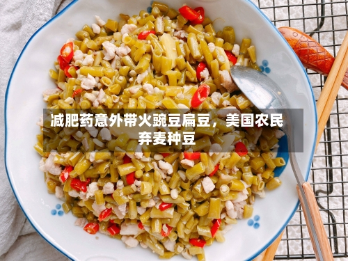 减肥药意外带火豌豆扁豆	，美国农民弃麦种豆-第2张图片