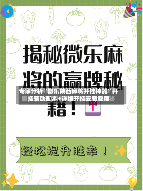 专家分析“微乐陕西麻将开挂神器	”开挂辅助脚本+详细开挂安装教程-第2张图片