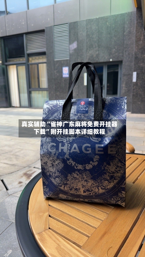 真实辅助“雀神广东麻将免费开挂器下载”附开挂脚本详细教程-第2张图片