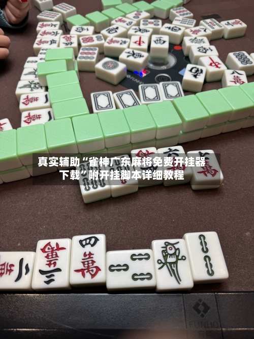 真实辅助“雀神广东麻将免费开挂器下载	”附开挂脚本详细教程-第3张图片