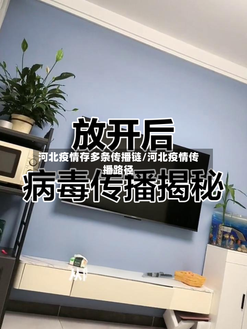 河北疫情存多条传播链/河北疫情传播路径