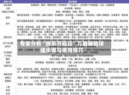 专家分析“微乐万能挂	”万能辅助详细步骤与使用技巧-第2张图片