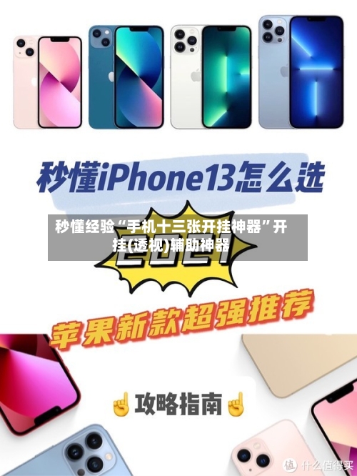 秒懂经验“手机十三张开挂神器”开挂(透视)辅助神器-第2张图片