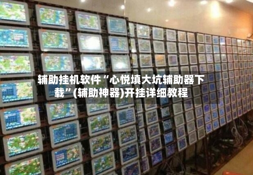 辅助挂机软件“心悦填大坑辅助器下载”(辅助神器)开挂详细教程-第2张图片