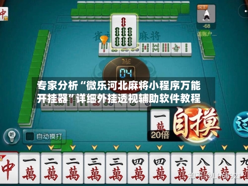 专家分析“微乐河北麻将小程序万能开挂器”详细外挂透视辅助软件教程