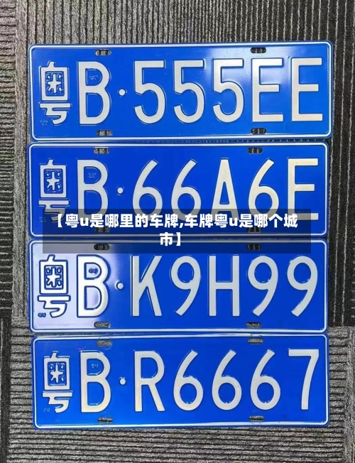 【粤u是哪里的车牌,车牌粤u是哪个城市】-第3张图片