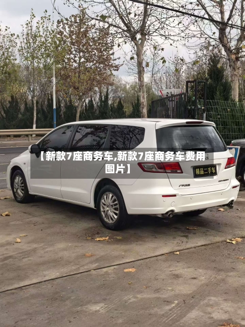 【新款7座商务车,新款7座商务车费用图片】-第2张图片