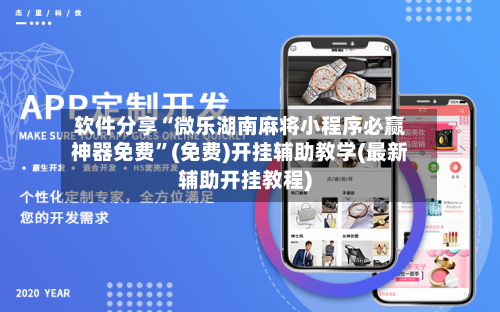 软件分享“微乐湖南麻将小程序必赢神器免费	”(免费)开挂辅助教学(最新辅助开挂教程)-第2张图片