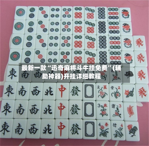 最新一款“迅奇麻将斗牛挂免费”(辅助神器)开挂详细教程-第2张图片