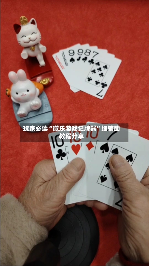 玩家必读“微乐游戏记牌器”细辅助教程分享-第3张图片