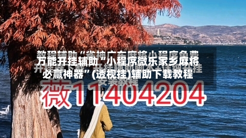 万能开挂辅助“小程序微乐家乡麻将必赢神器”(透视挂)辅助下载教程-第2张图片