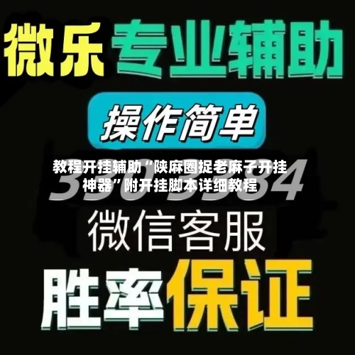 教程开挂辅助“陕麻圈捉老麻子开挂神器”附开挂脚本详细教程