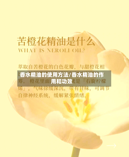 香水精油的使用方法/香水精油的作用和功效-第3张图片