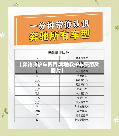 【奔驰救护车费用,奔驰救护车费用及图片】-第3张图片