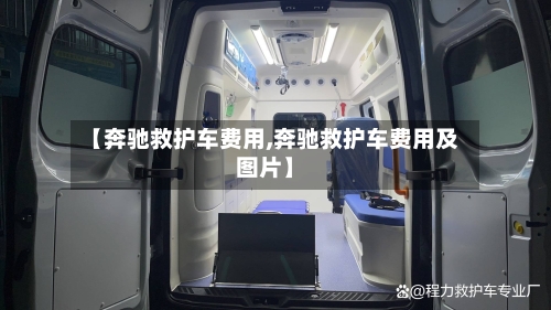 【奔驰救护车费用,奔驰救护车费用及图片】-第2张图片