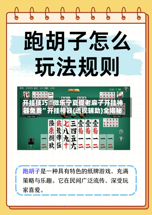 开挂技巧“微乐宁夏捉老麻子开挂神器免费”开挂神器{透视辅助}全揭秘-第2张图片