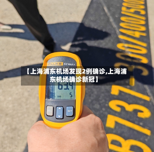 【上海浦东机场发现2例确诊,上海浦东机场确诊新冠】