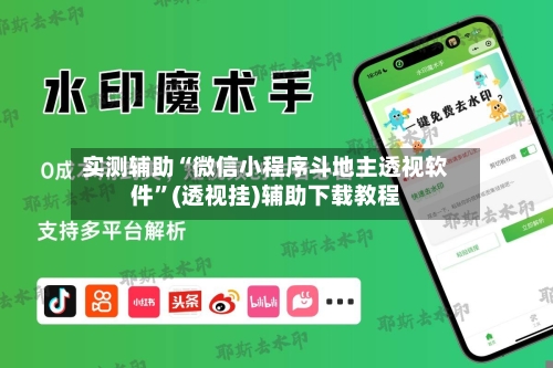 实测辅助“微信小程序斗地主透视软件”(透视挂)辅助下载教程-第2张图片